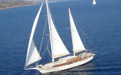 Aegean Schatz